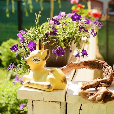 Villa Yanevi ロゼネッツ エクステリア 写真