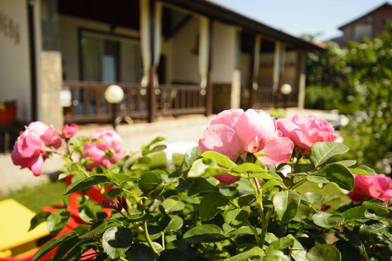 Villa Yanevi ロゼネッツ エクステリア 写真