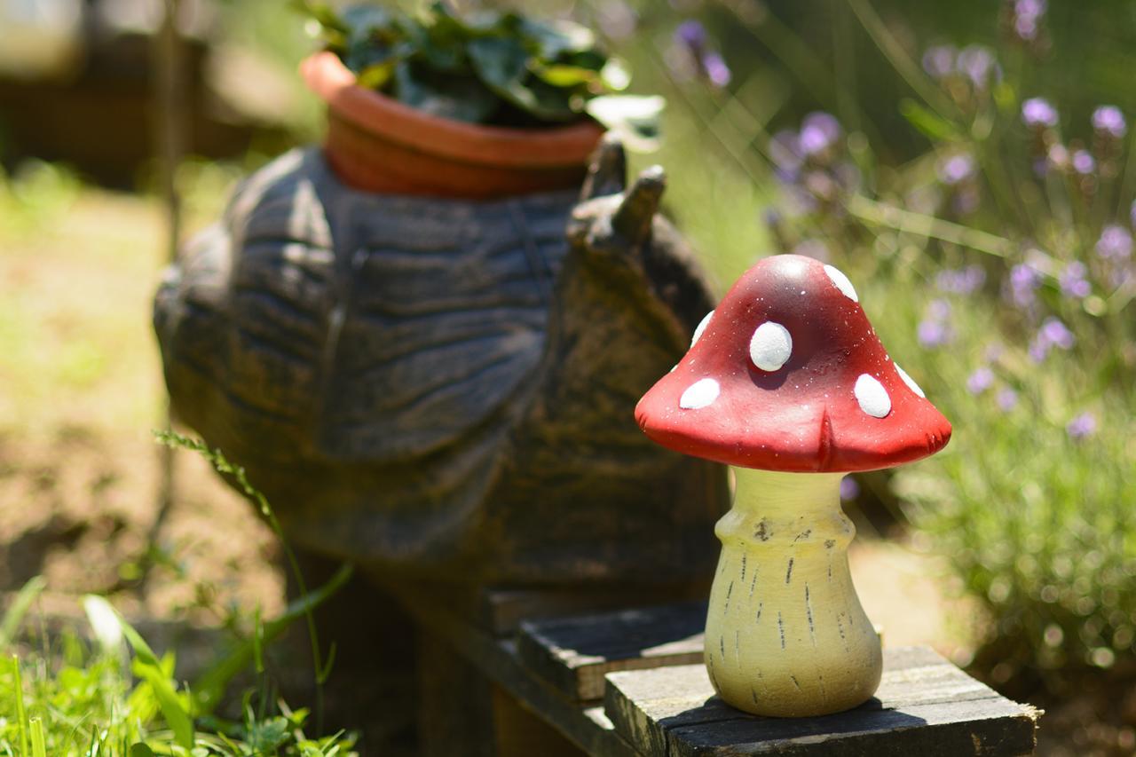 Villa Yanevi ロゼネッツ エクステリア 写真